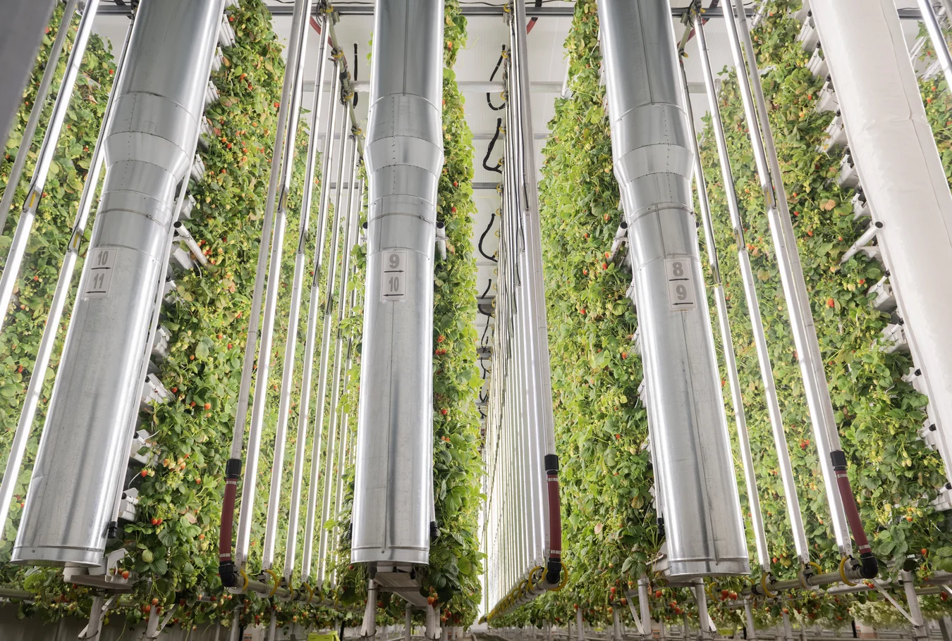 Vertical farming